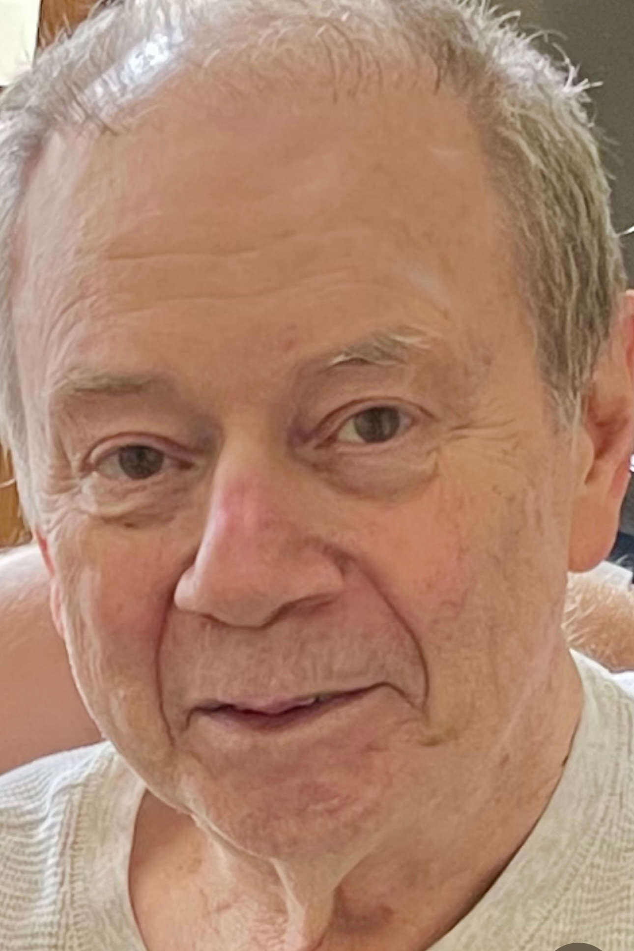 Hamilton Funeral Home Obituaries Walterboro Sc - 03hkz3x