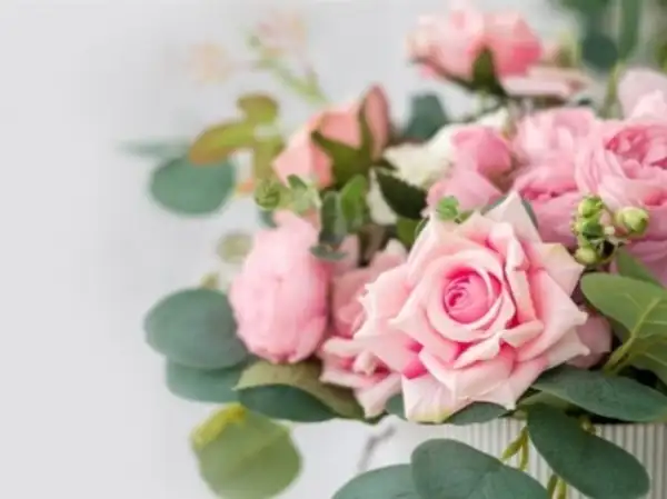 Eleanor Belle Michael