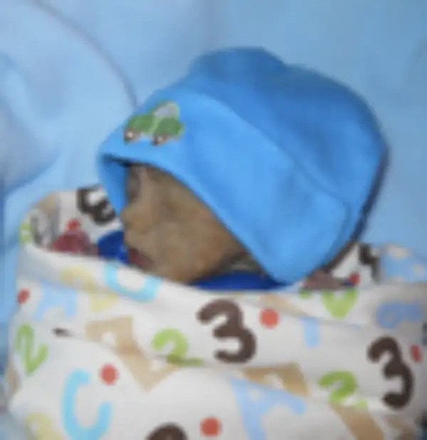 LaMarcus Damon Washington