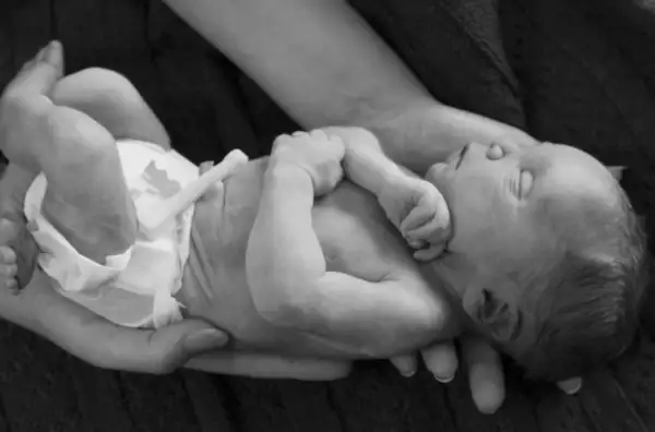 Dane Richard David Hill