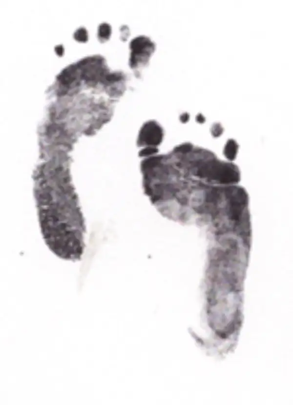 Brandon Hafenbrack, Jr.