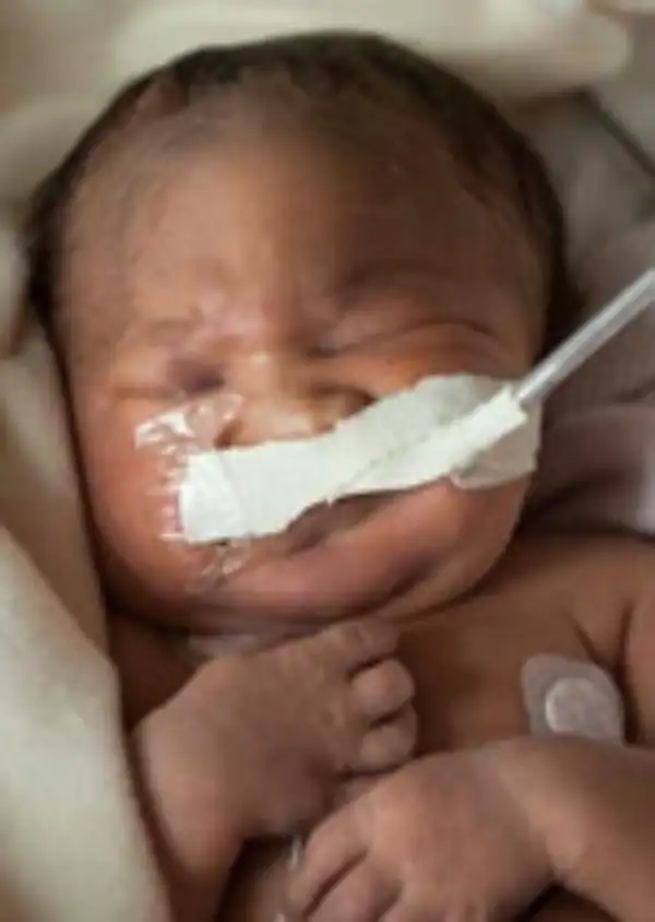 Isla Tongo "Lipovac"