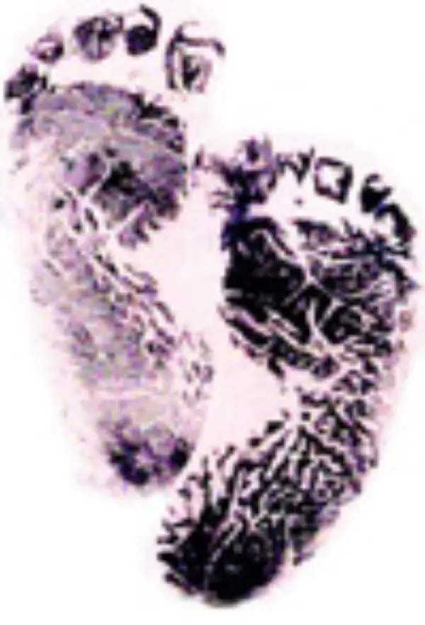 Aaliyah Kay Armintrout