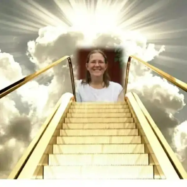 Patricia Ann Johnson Stewart