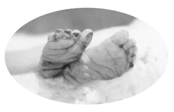 Amelia "Mia" Janssen