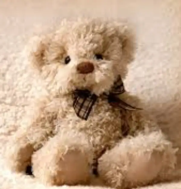 Braxton Liam Cockrum