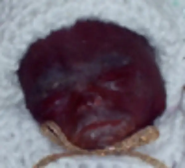 Ayante Damond Lee Canada