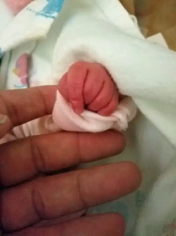 Kinsley Rose Shortell