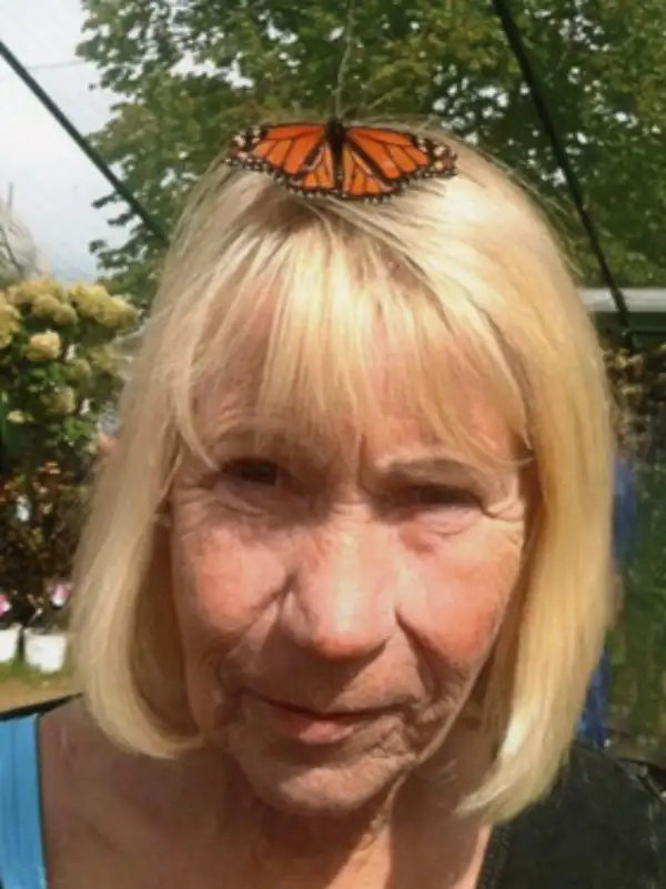 Debra Jill Kurschinski Hollis