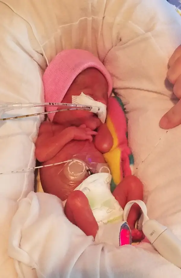 Evelyn Grace Schnulle