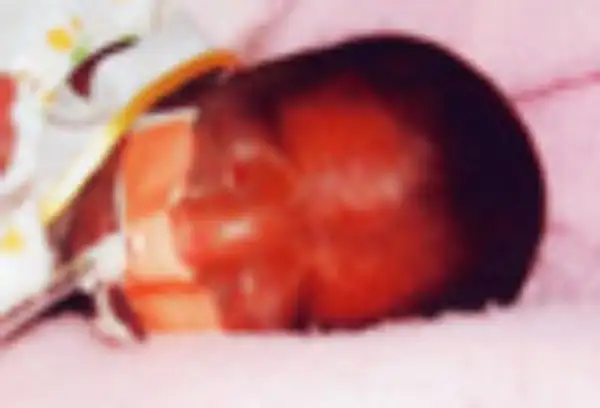 Fayth Elizabeth Chapman