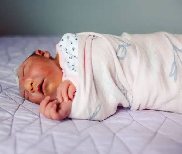 Judith Mary Sertich Niedergeses