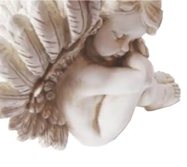 Manuel de Jesus Marquez Espinoza