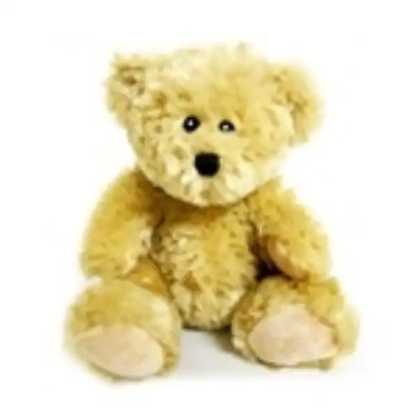 Evelyn Joy Rodriguez