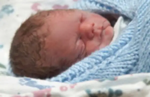 Brenden William Turner