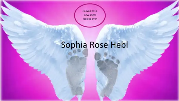 Sophia Rose Hebl