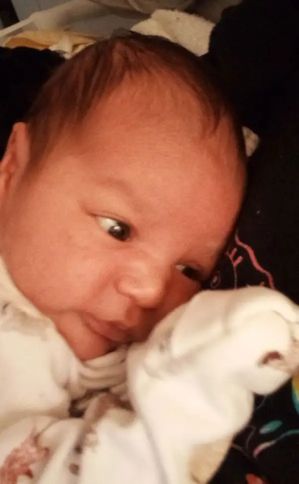 Zay Allan-Rashad Genochio