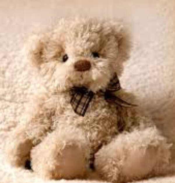 Astrid Nicole Gilliam