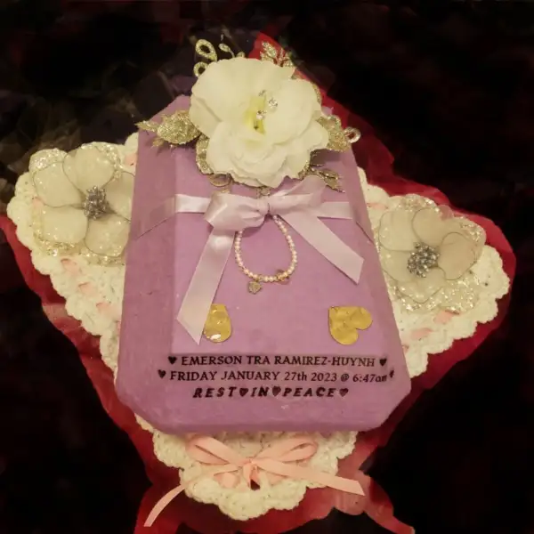 Emerson Ramirez-Huynh