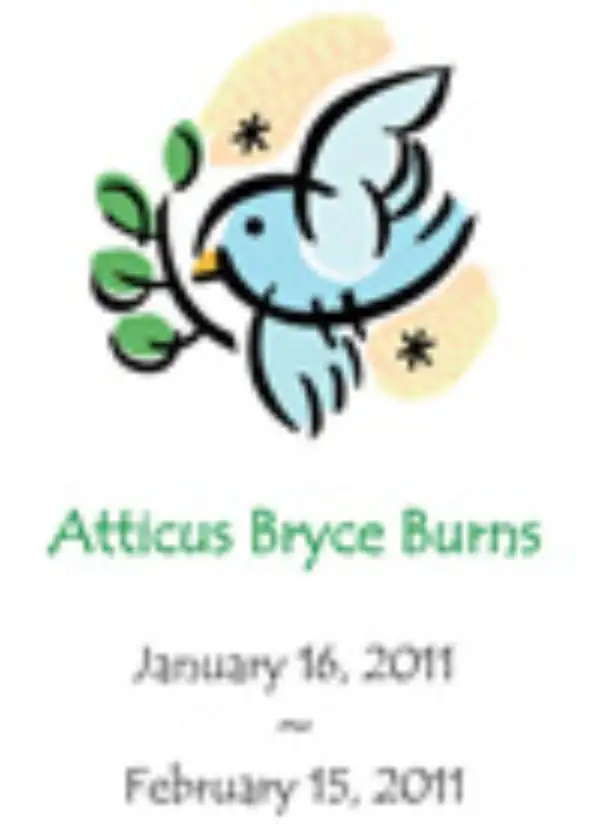Atticus Bryce Burns
