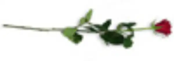 Margaret “Maggie” Mary Brewer