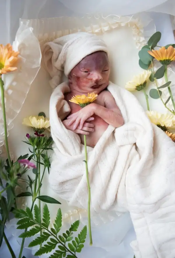 Paisley Cosner